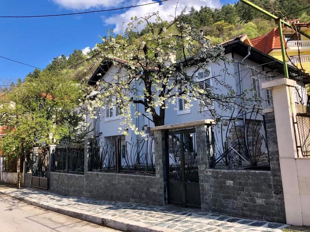 Musala 1 Bed & Breakfast