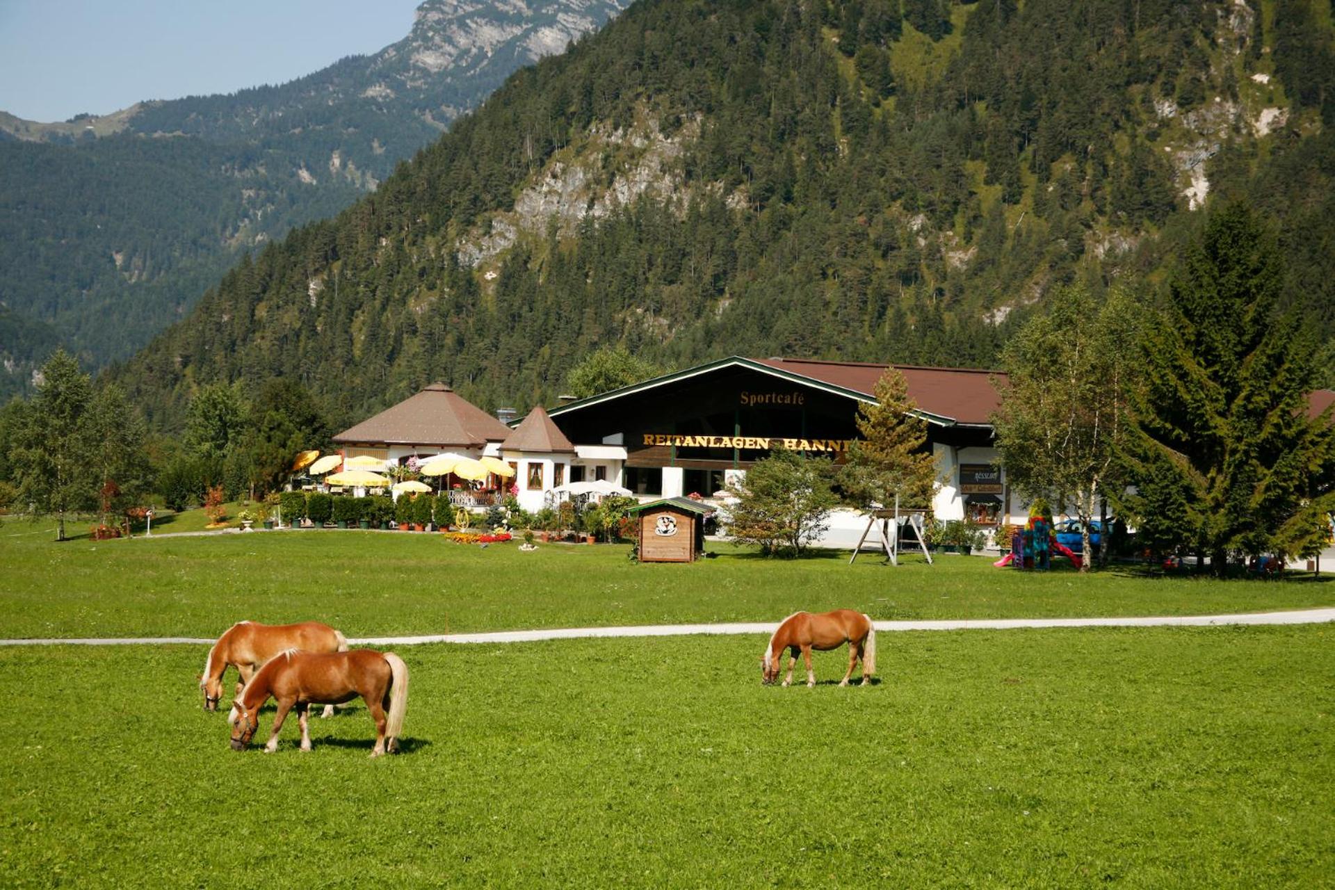 Gut Hanneshof
