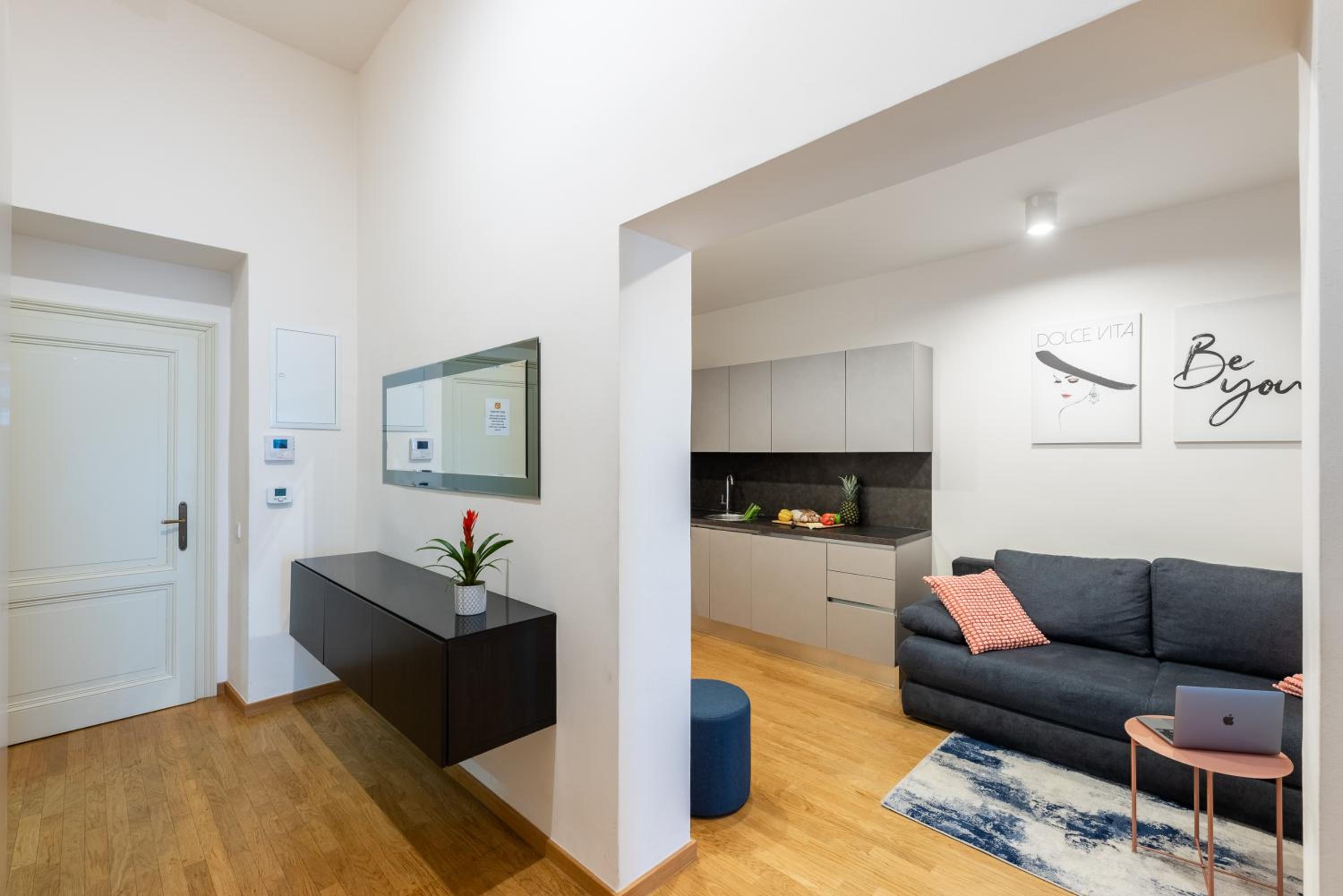 Spacious 3-bedrooms apartment near Karlin Square