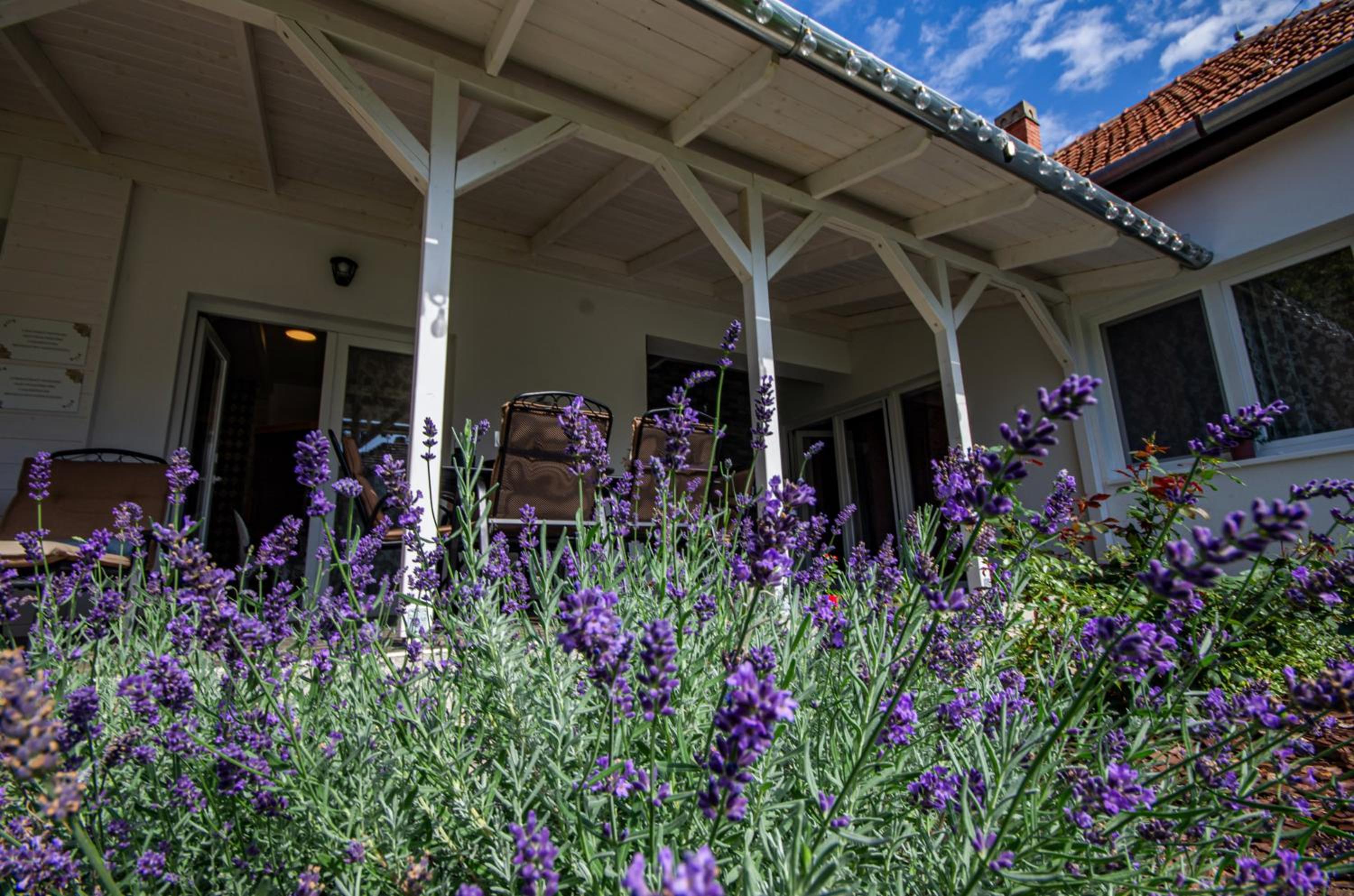 Boutique Villa Gyula