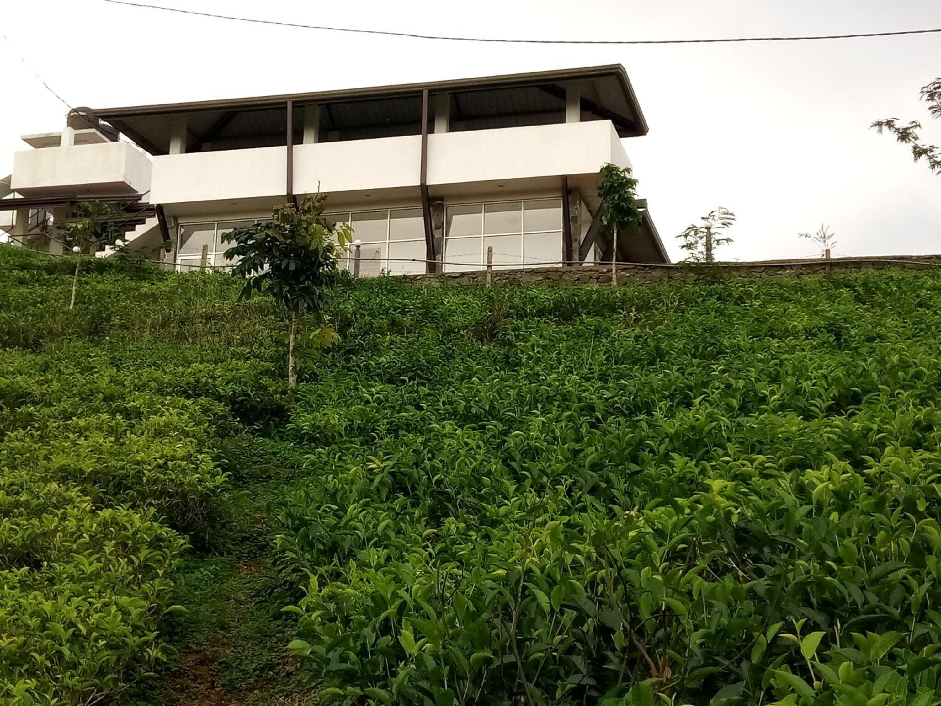 Tranquil Ridge Hilltop Bungalow