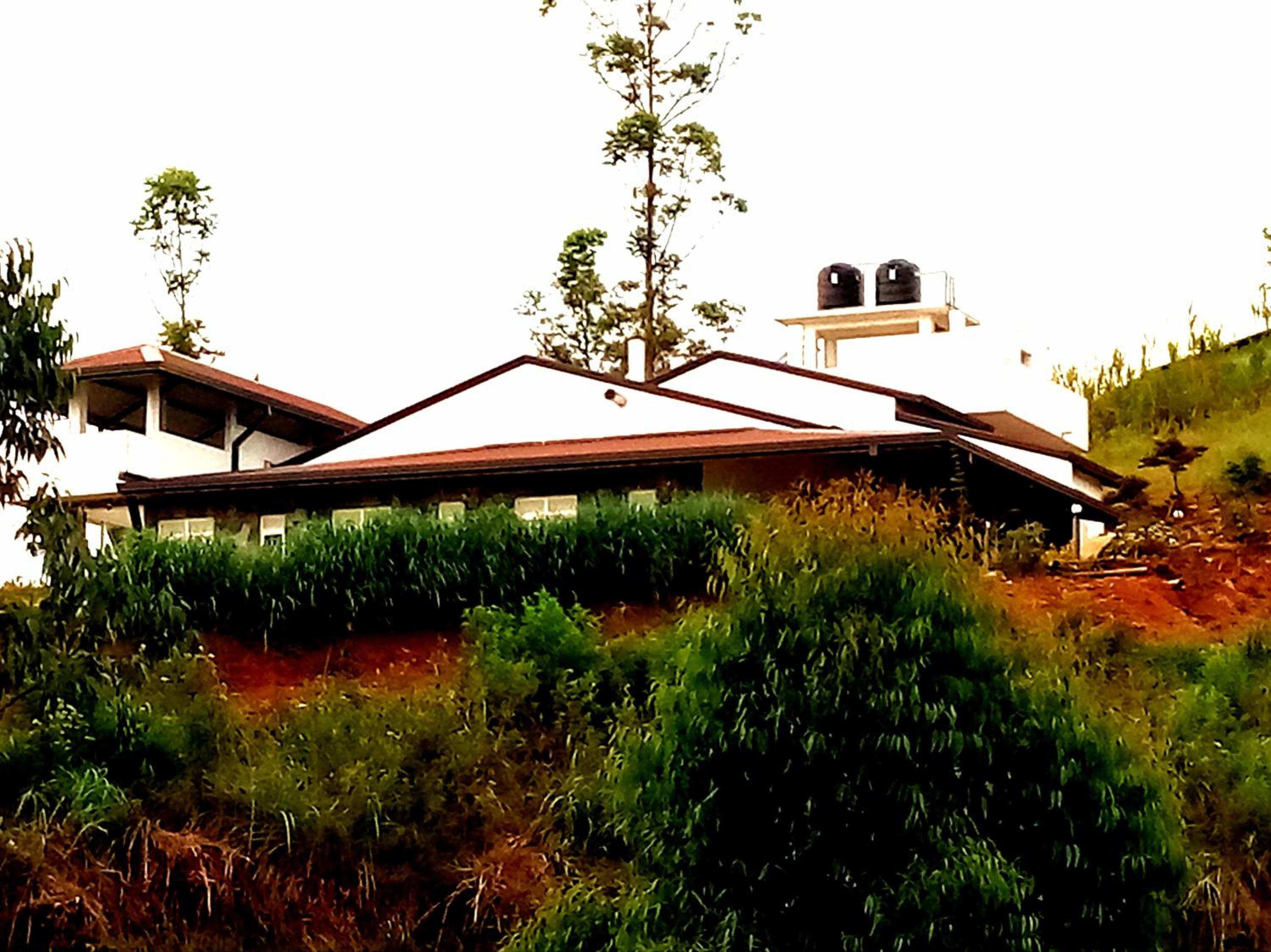 Tranquil Ridge Hilltop Bungalow