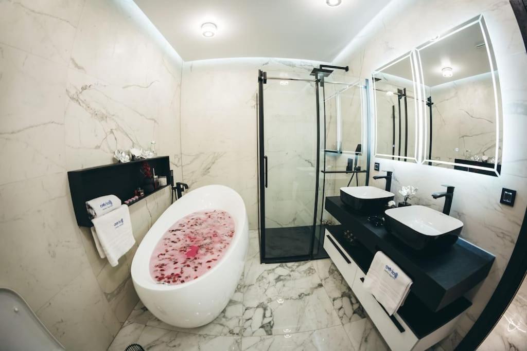 Luxury Apartment & Rooms