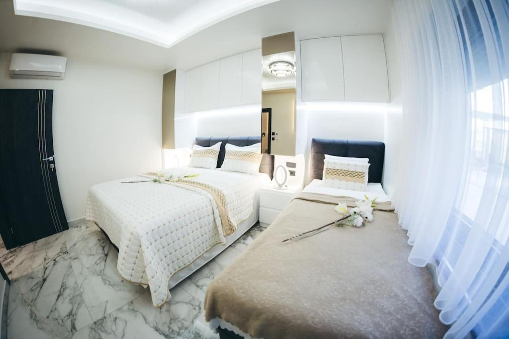Luxury Apartment & Rooms
