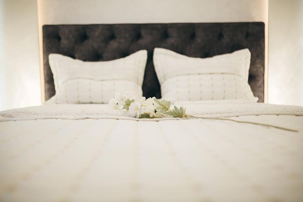 Luxury Apartment & Rooms