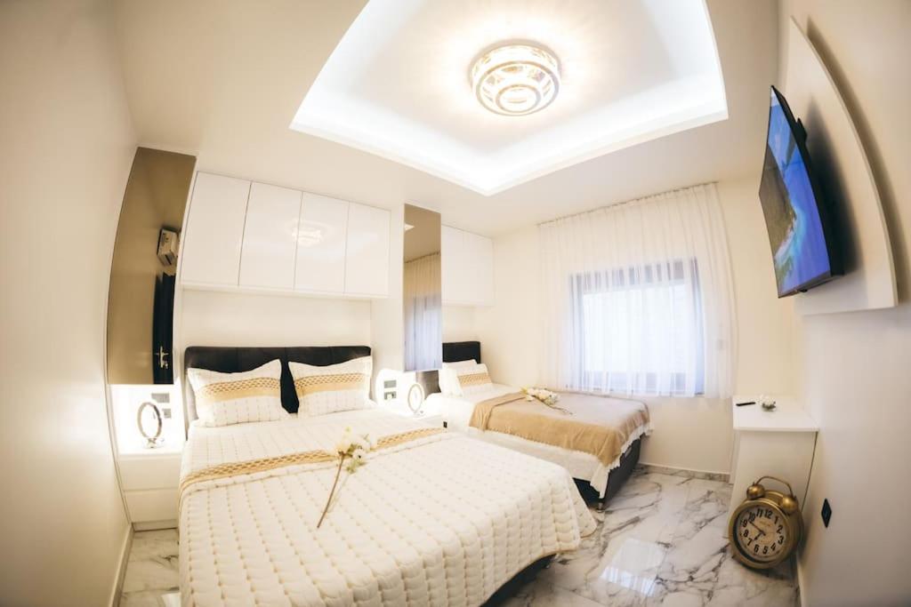 Luxury Apartment & Rooms