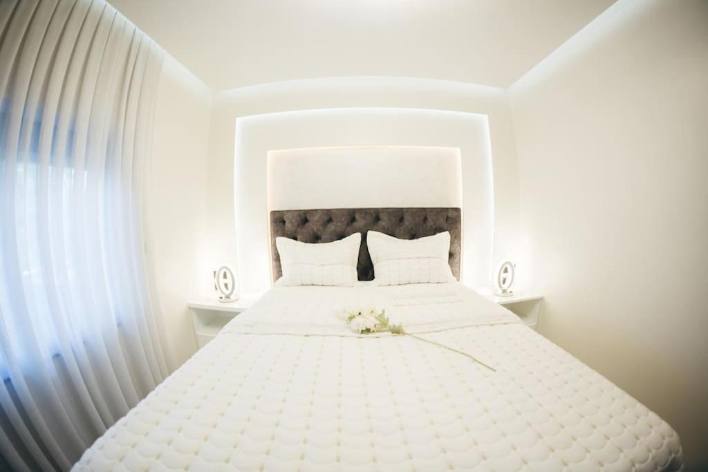 Luxury Apartment & Rooms