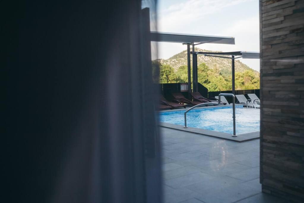 Luxury Apartment & Rooms