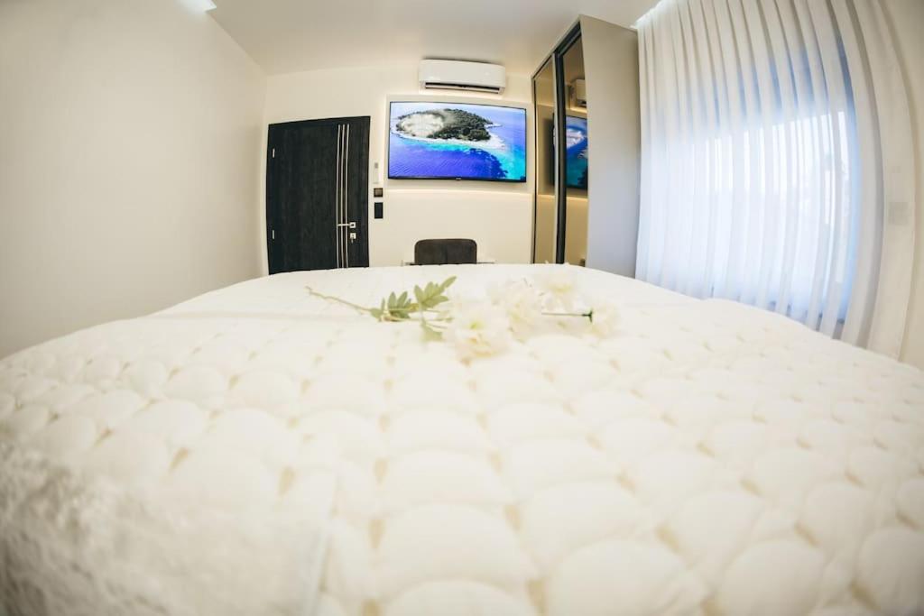 Luxury Apartment & Rooms