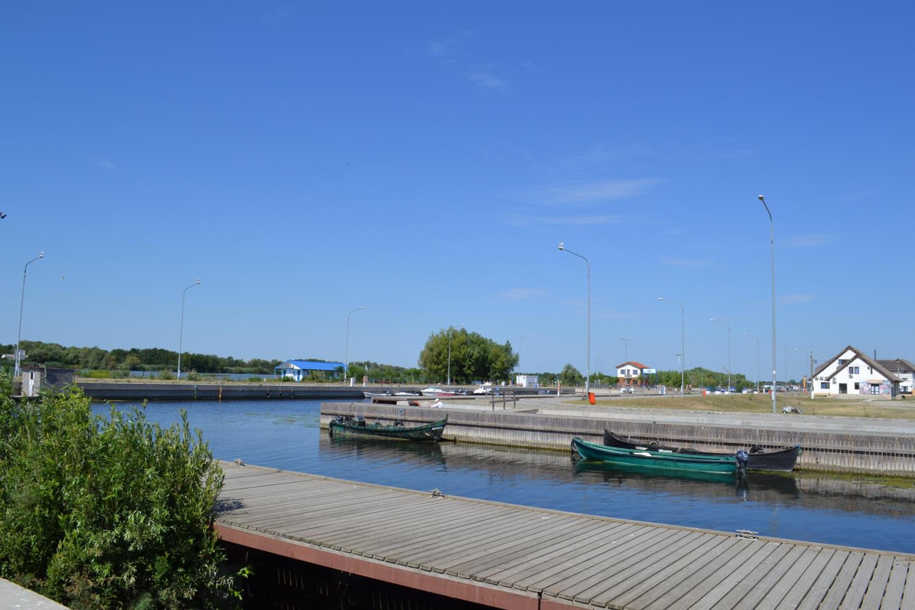 Photo 201
