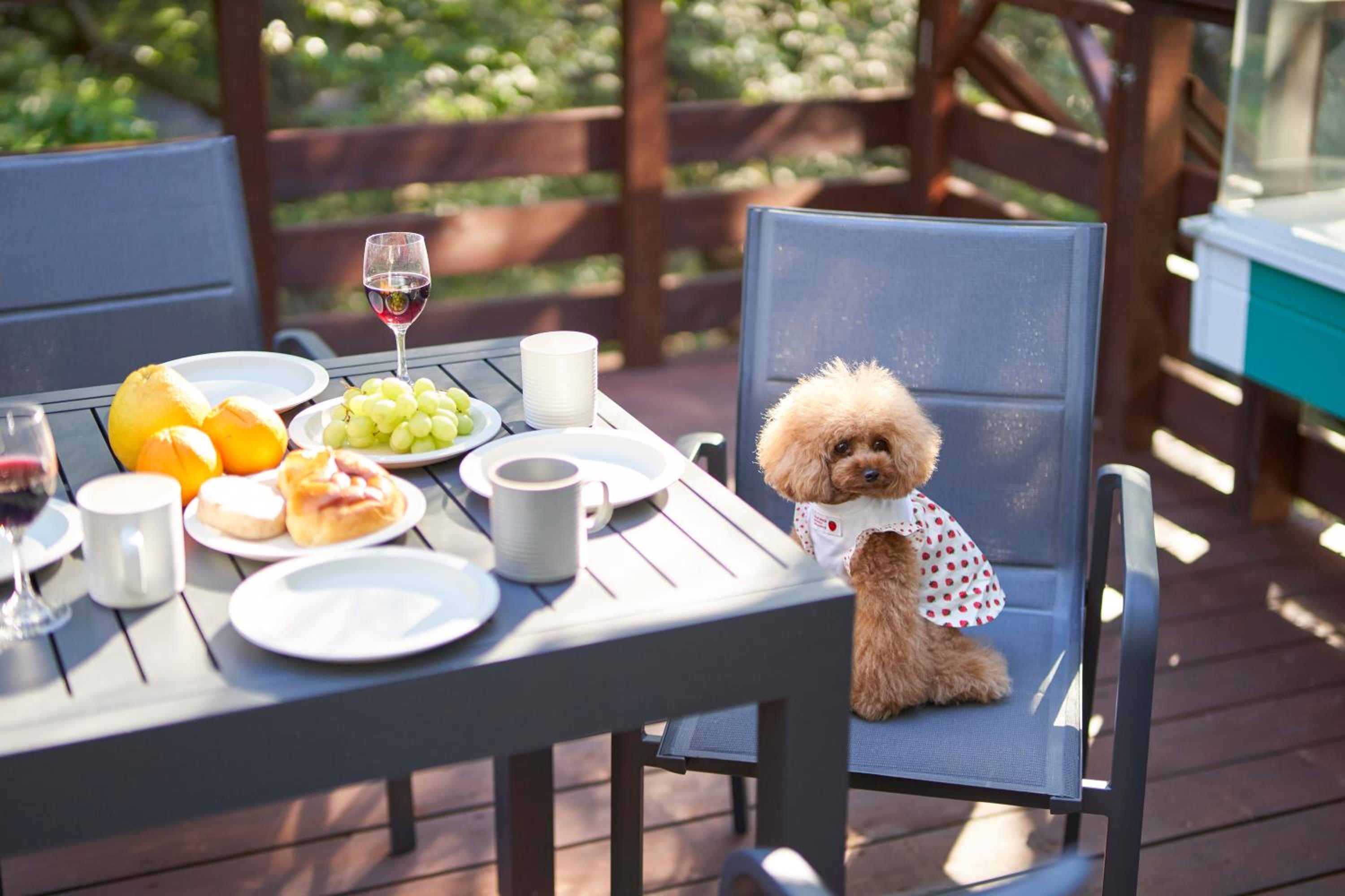 Suite Villa Nasukogen Doggy's Ohana view 3