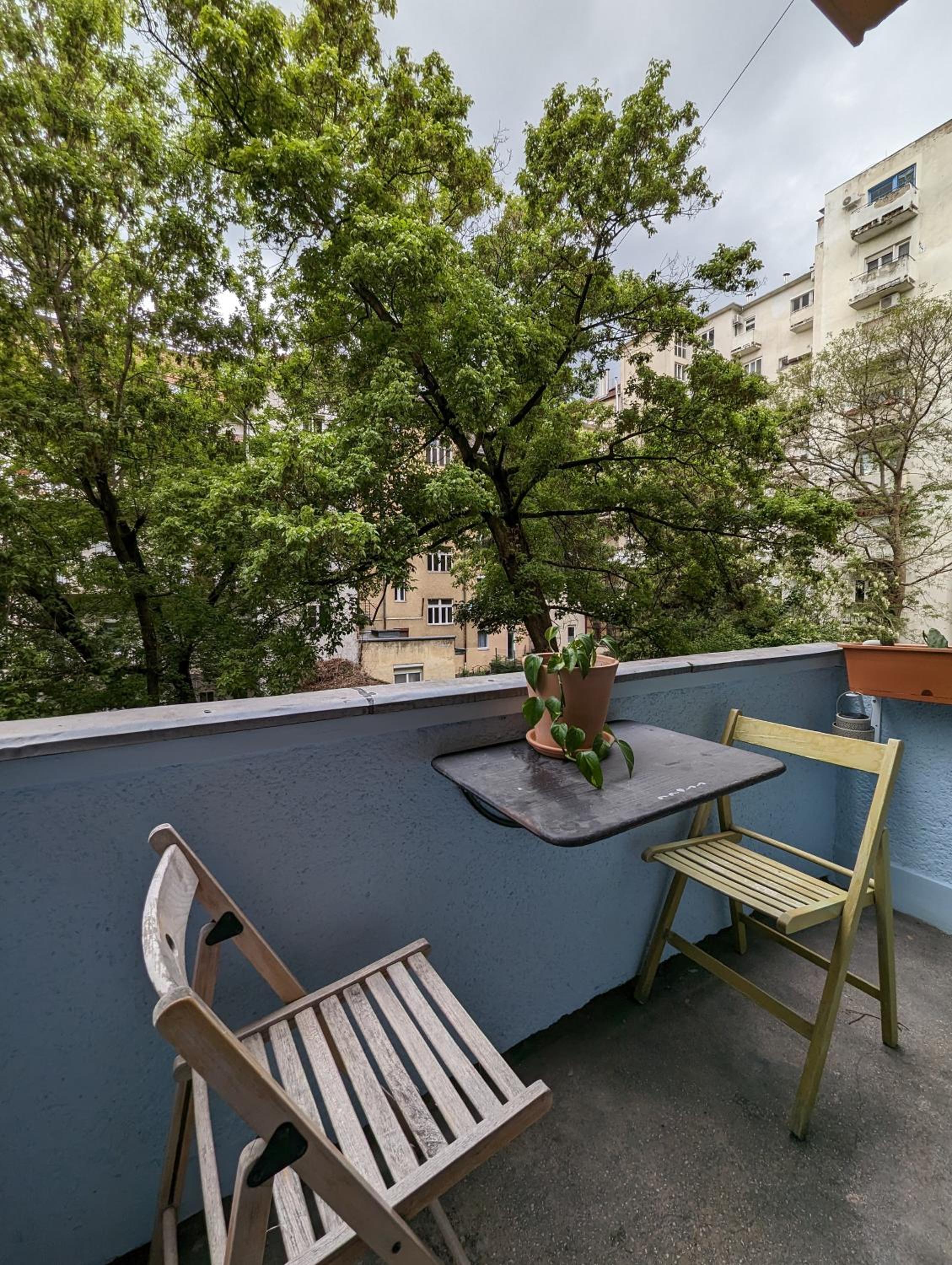 Cozy Park Apartment view 3