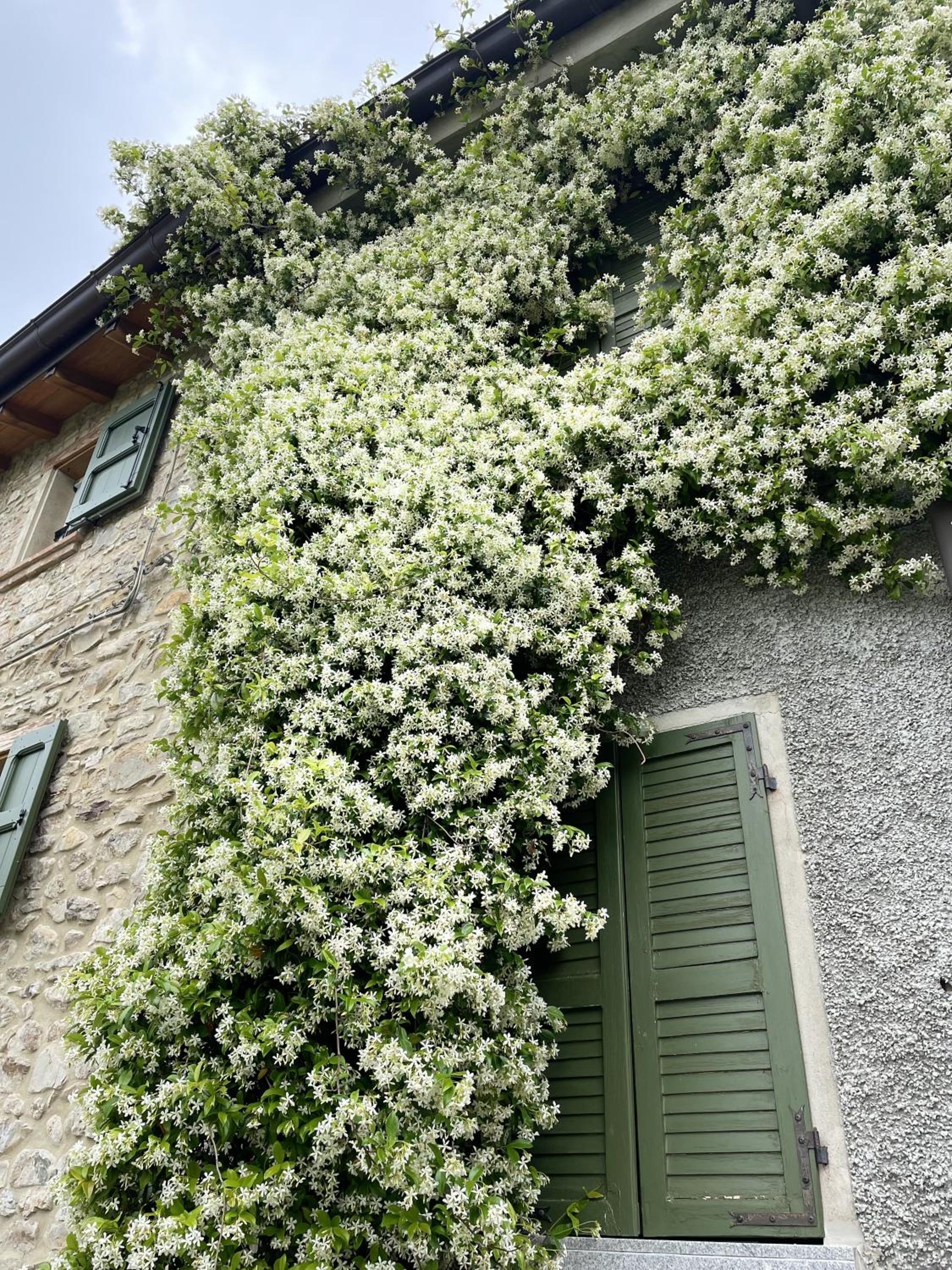 Alloggio con camino nel borgo del castello view 2