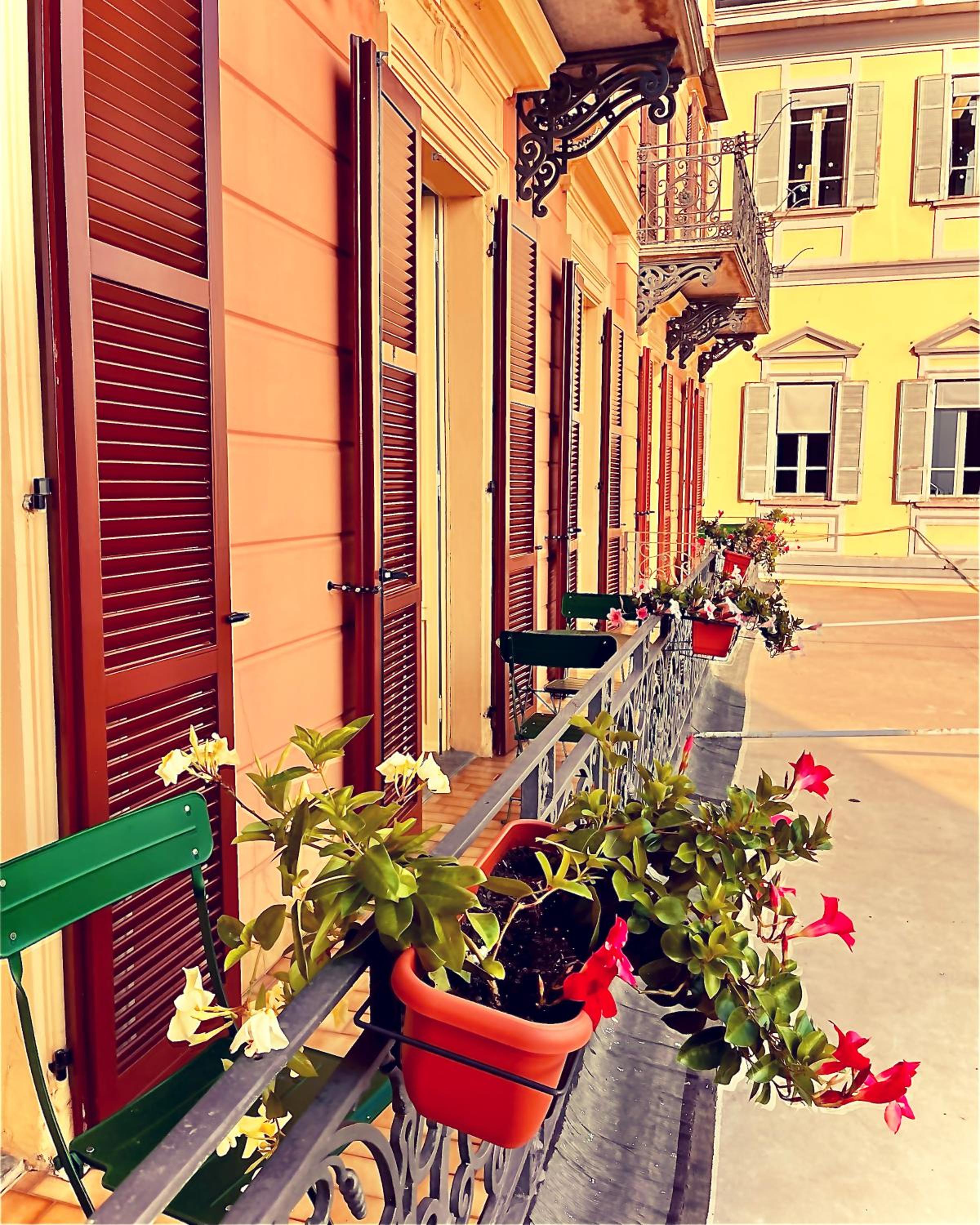 Photo 46