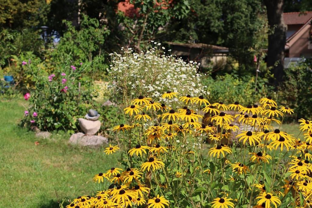 Ferienhaus Bullenberg