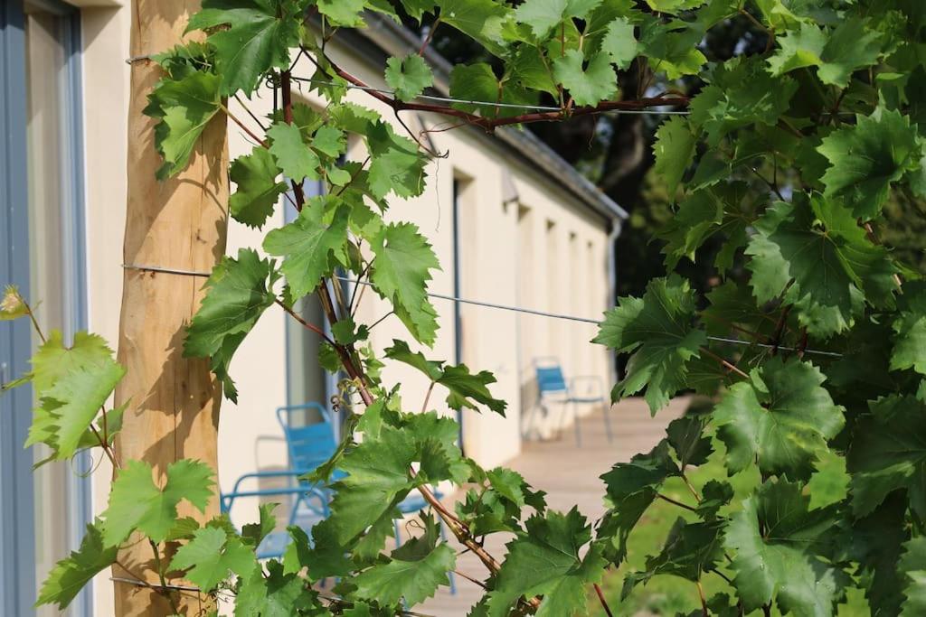 Ferienhaus Bullenberg