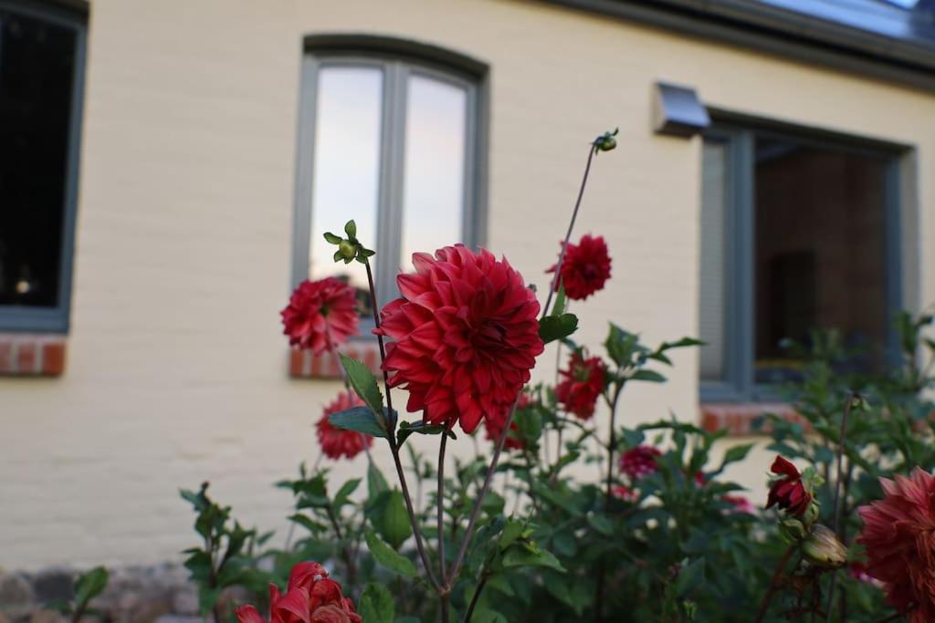 Ferienhaus Bullenberg