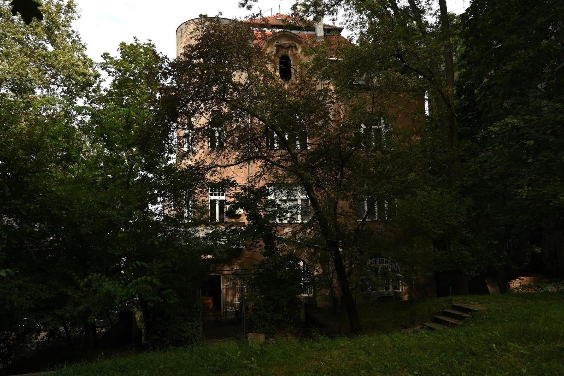 Photo 8