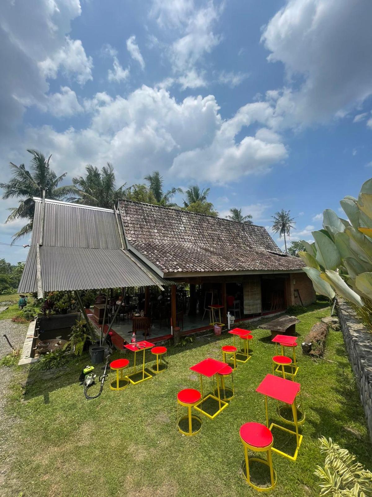 Nyawang Merapi