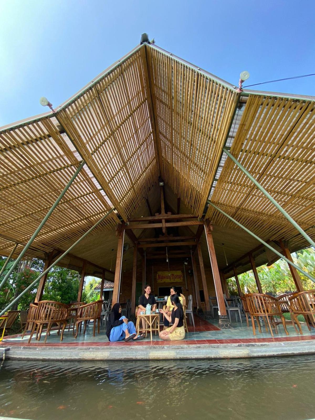 Nyawang Merapi