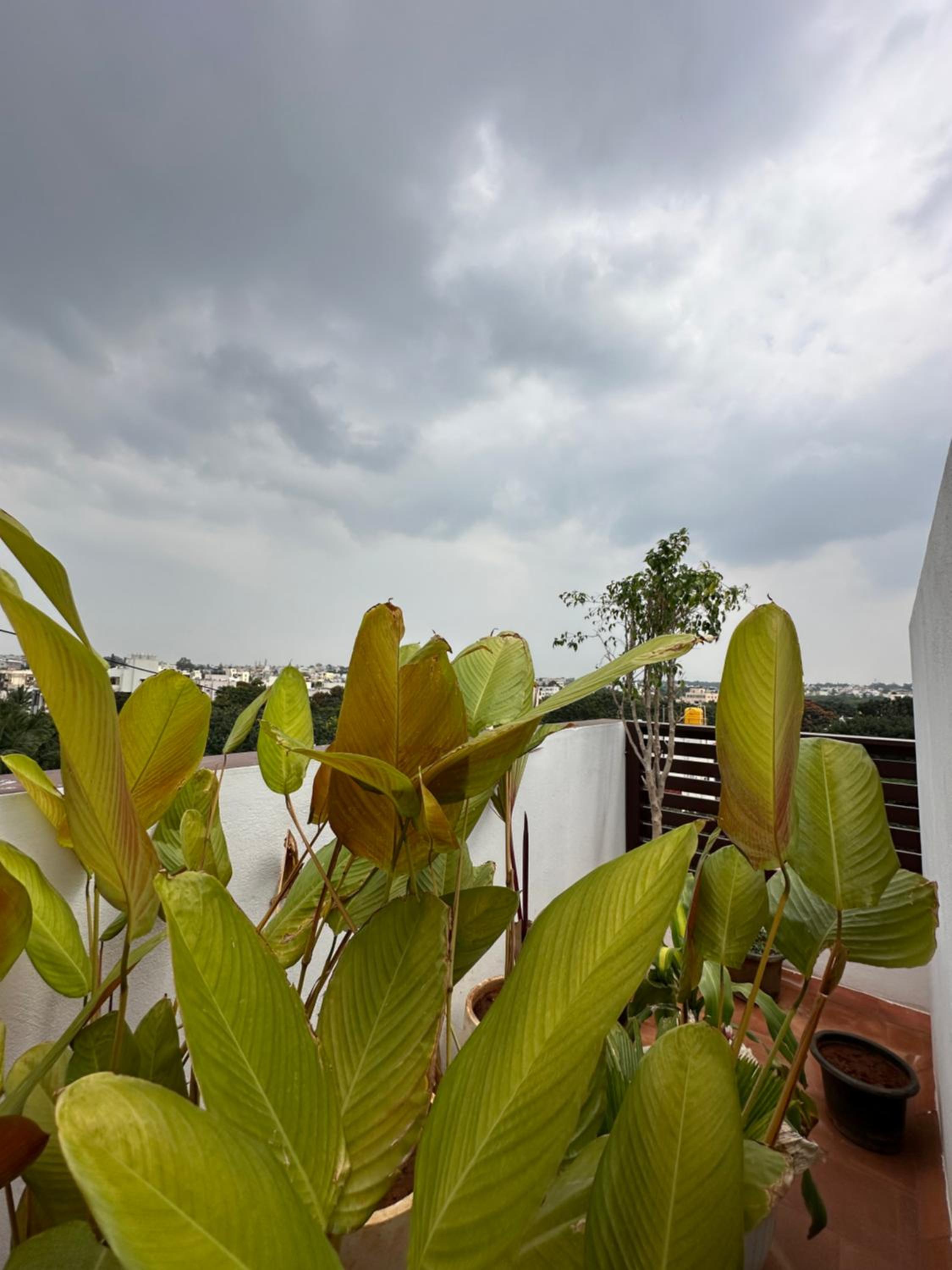 Hut in the sky - main view