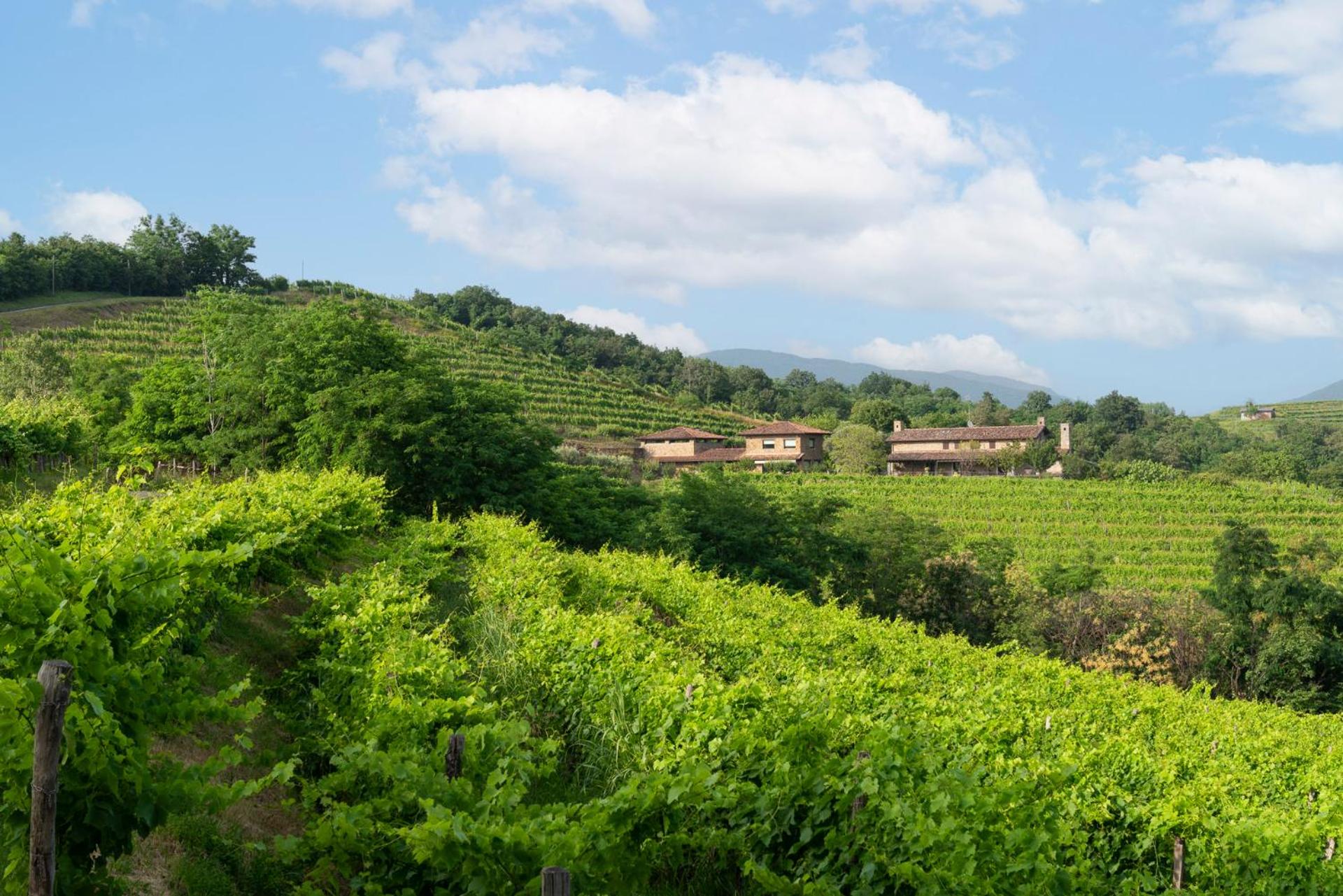 Lis Fadis Wine Relais view 2