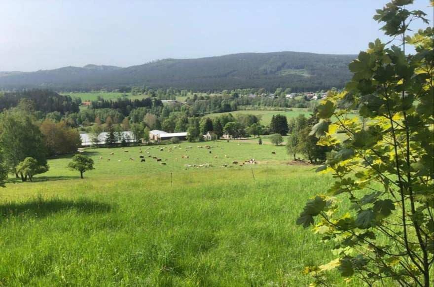 Apartmán UšeBu