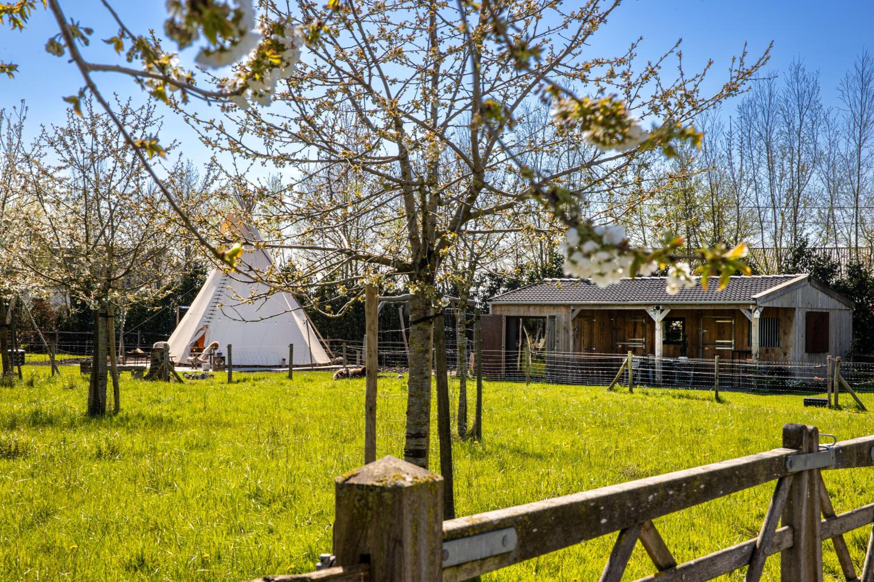 Cabin Margot with hot tub in private garden