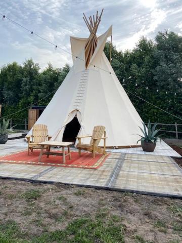 Cabin Margot with hot tub in private garden