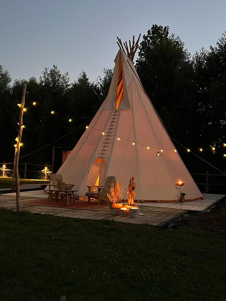 Cabin Margot with hot tub in private garden