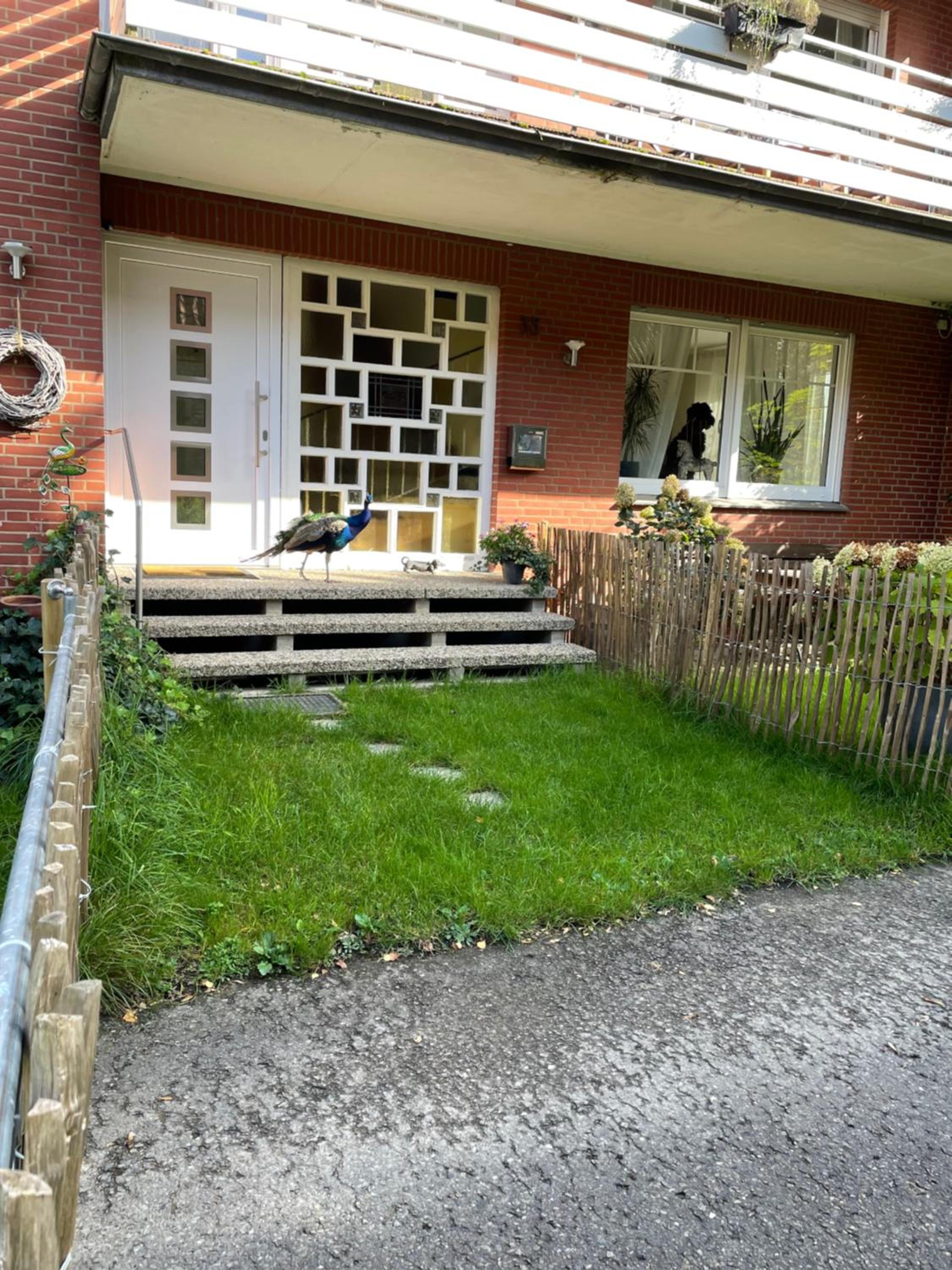 Pfauenhof