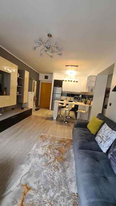 Apartament Vis de Sinaia ! view 2