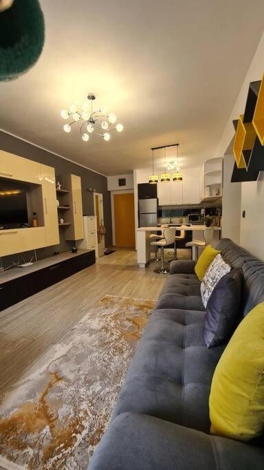 Apartament Vis de Sinaia ! view 4