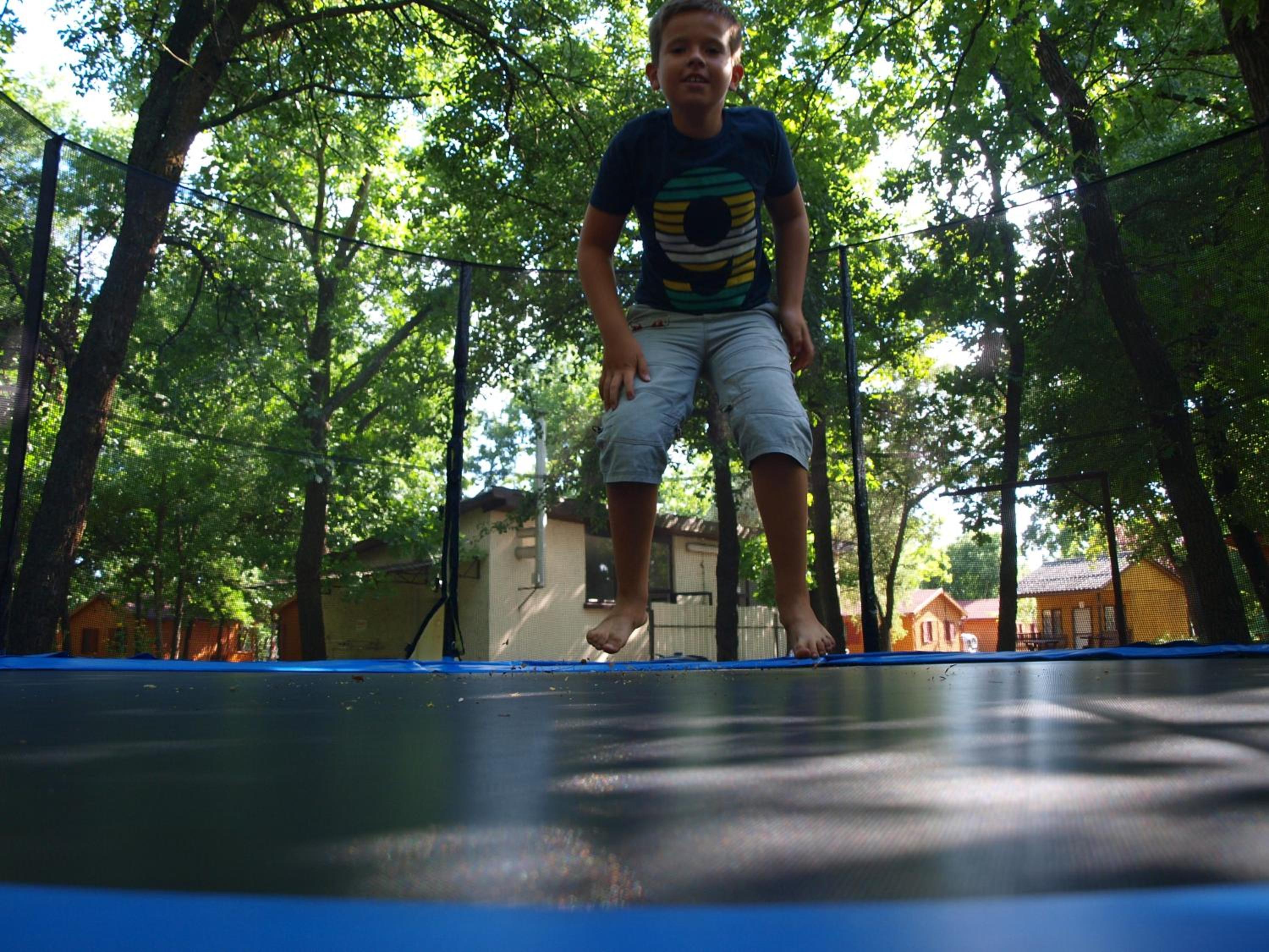 Photo 50