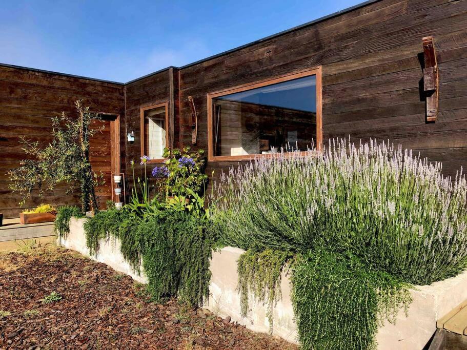 Casa sector Punta de Lobos, Pichilemu