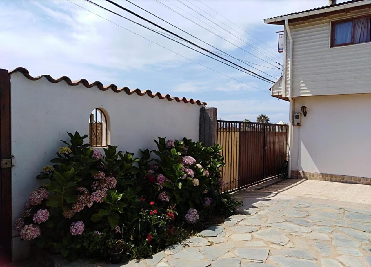 OCEANO HOSTEL