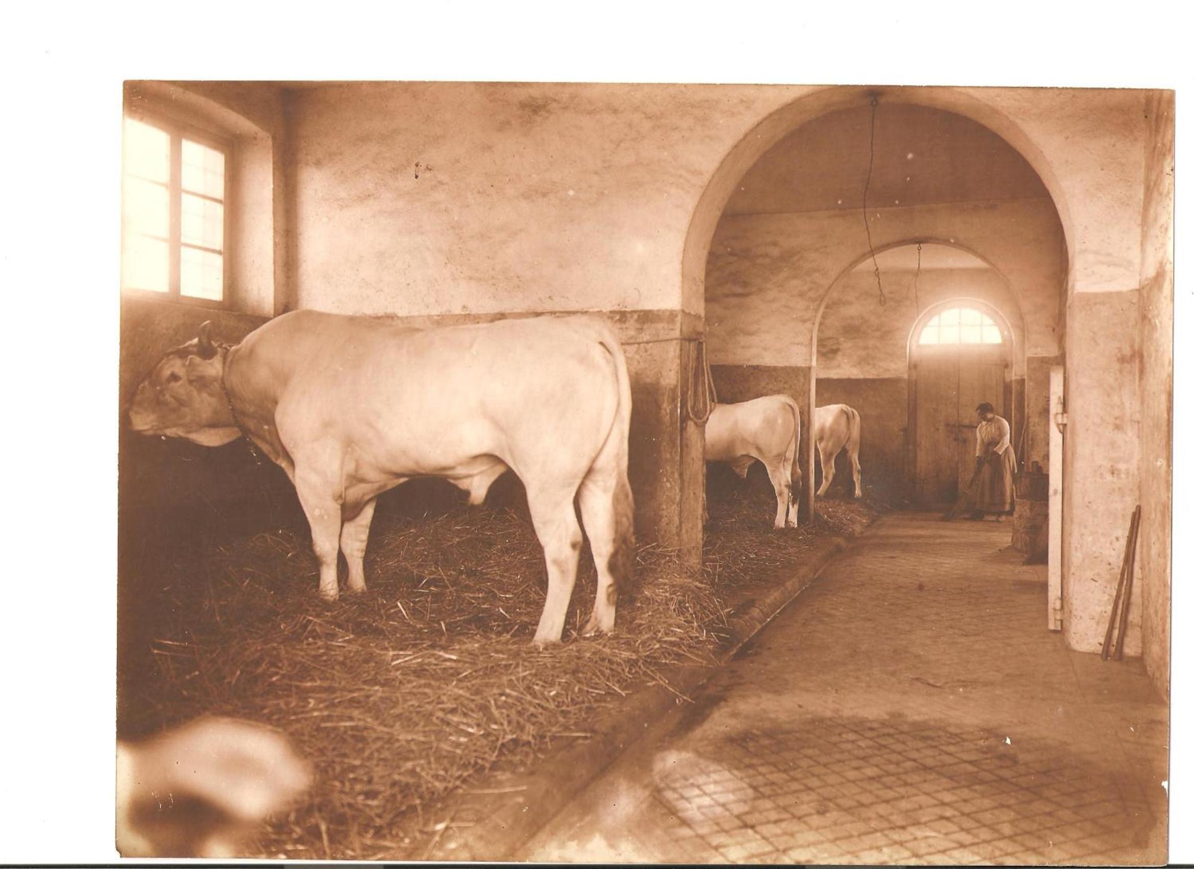 Tenuta La Fratta