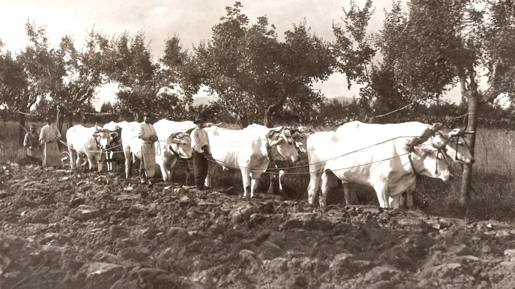 Tenuta La Fratta