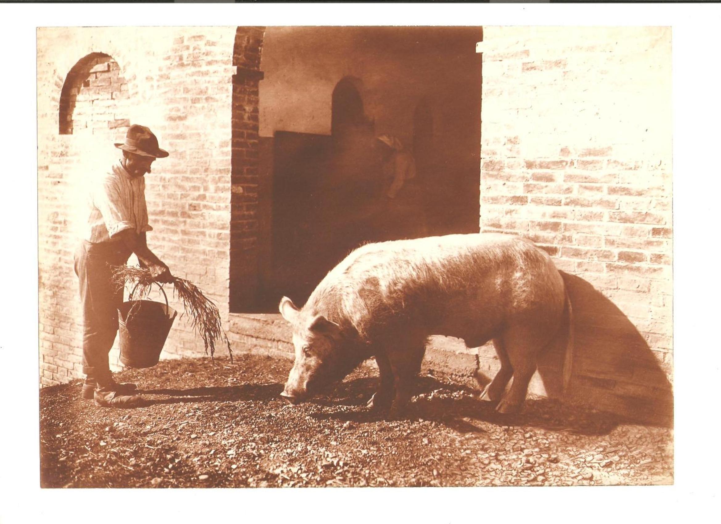 Tenuta La Fratta