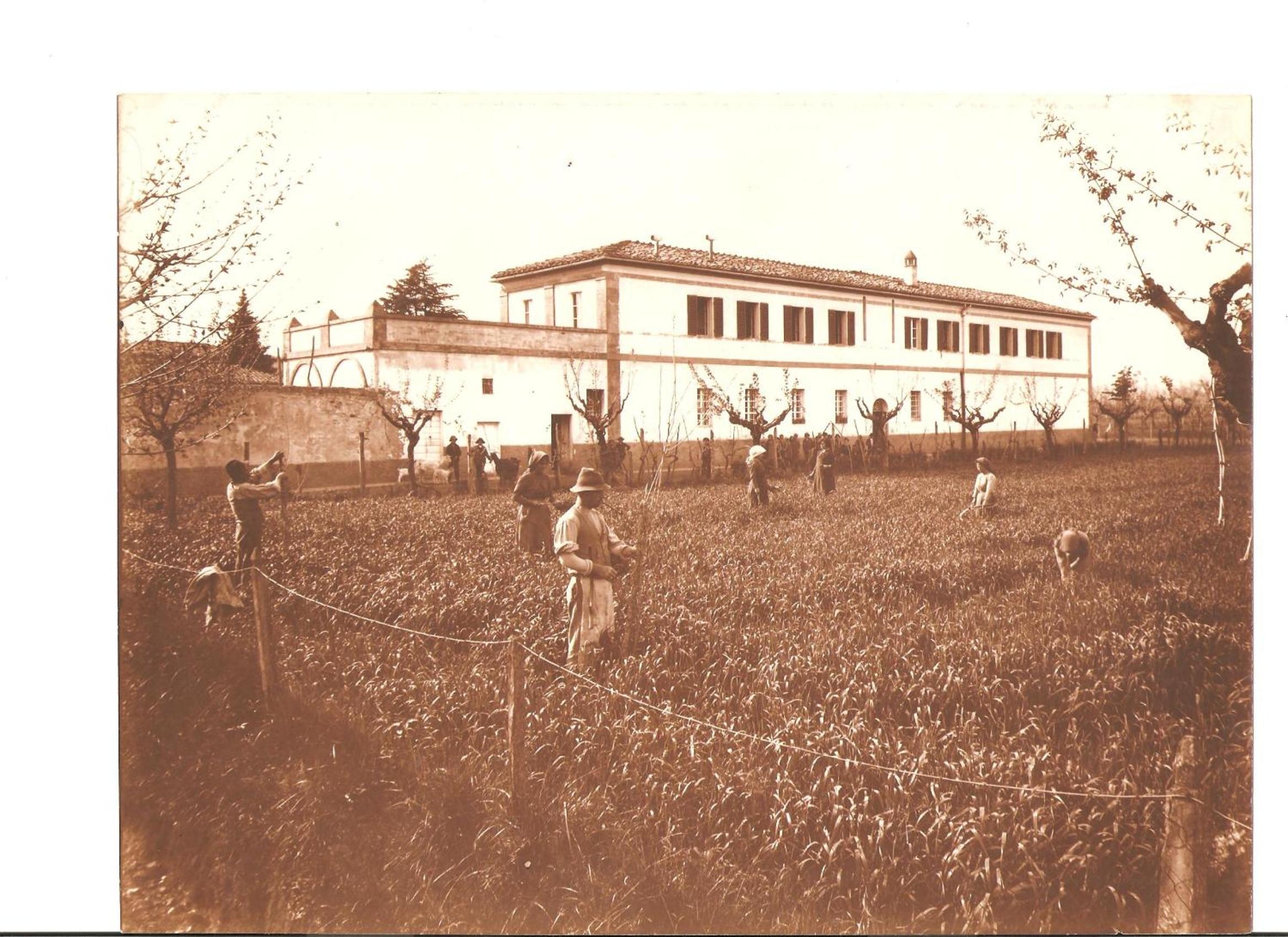 Tenuta La Fratta