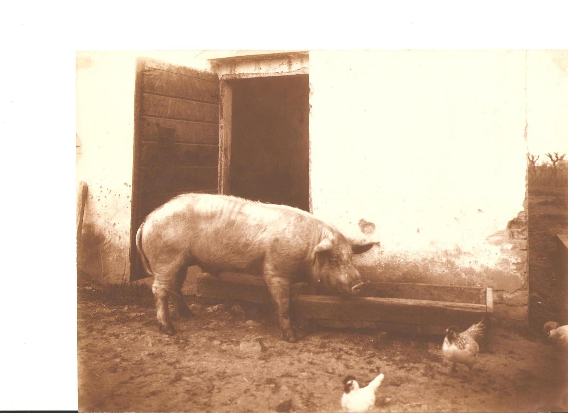 Tenuta La Fratta