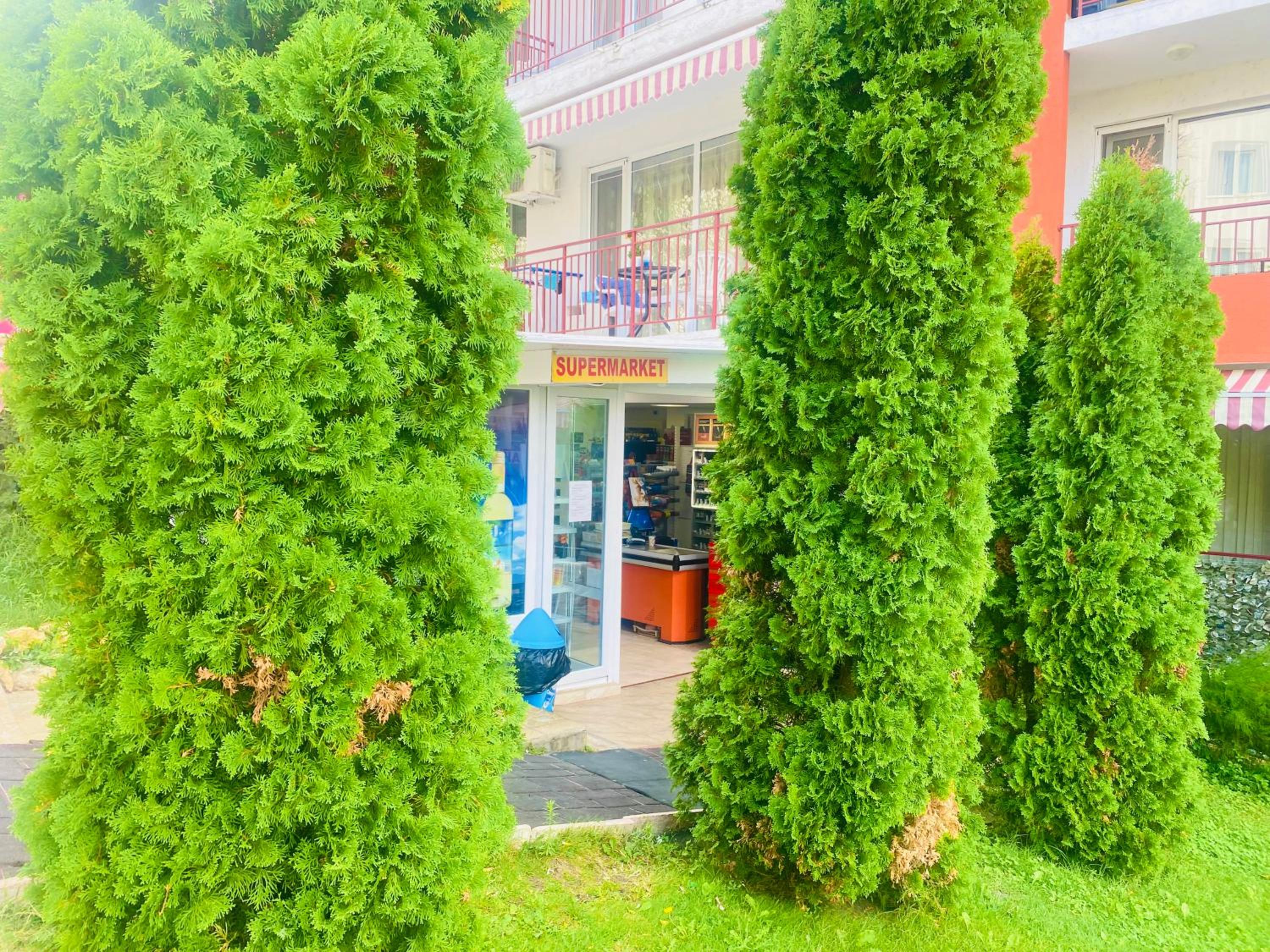 Apartment in Sveti Vlas