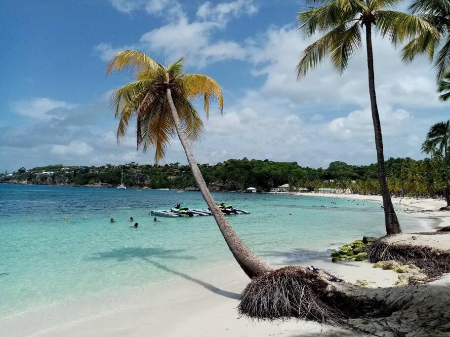 Bungalow papaye