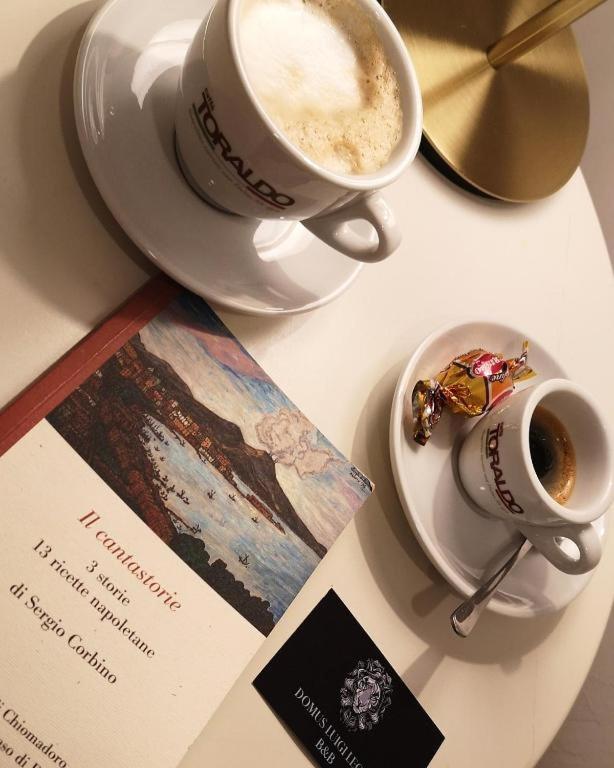 DOMUS LUIGI LEONE 2
