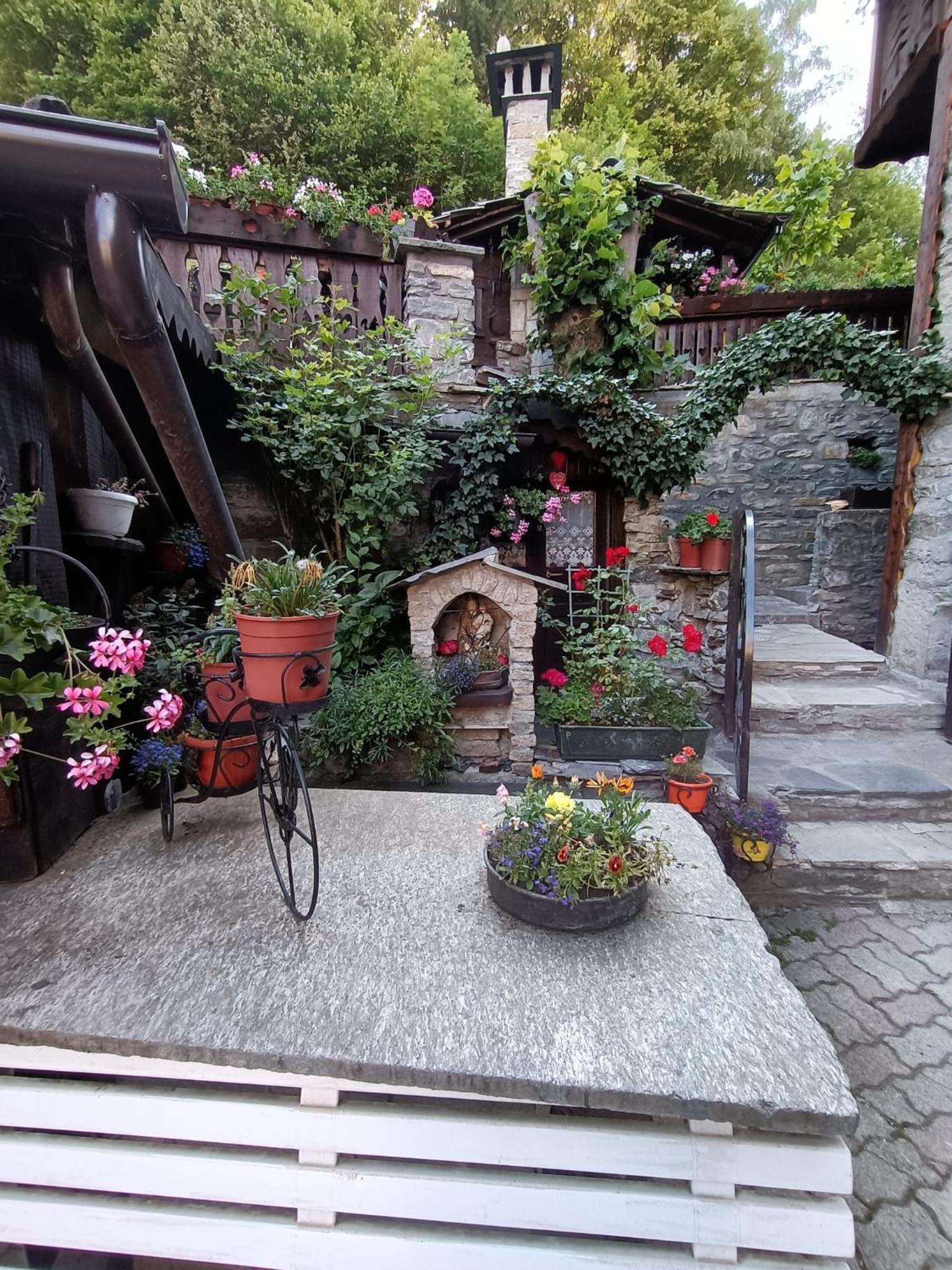 Photo 8