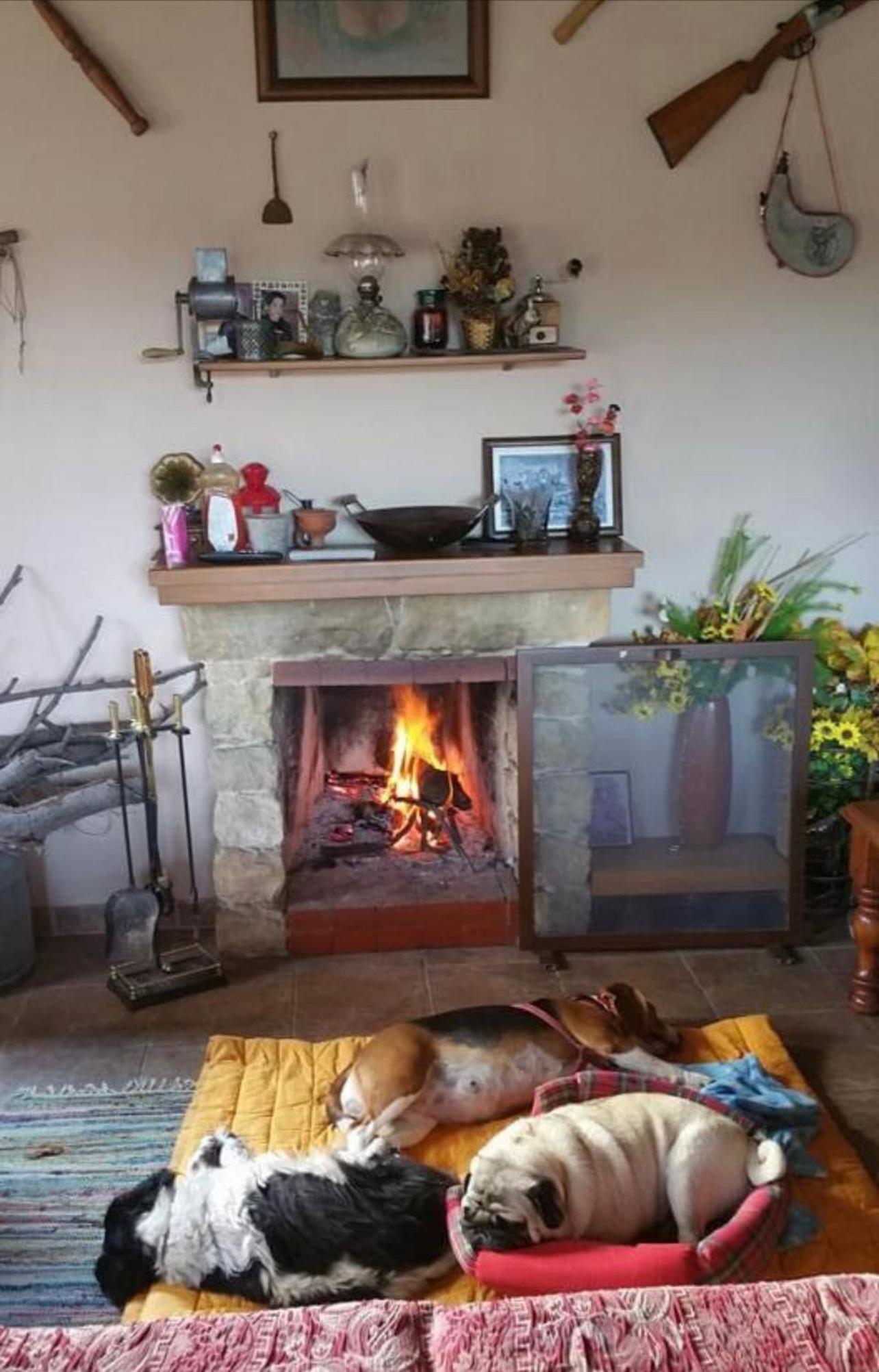 Beautiful 3 Bedr House in Arakapas with fireplace