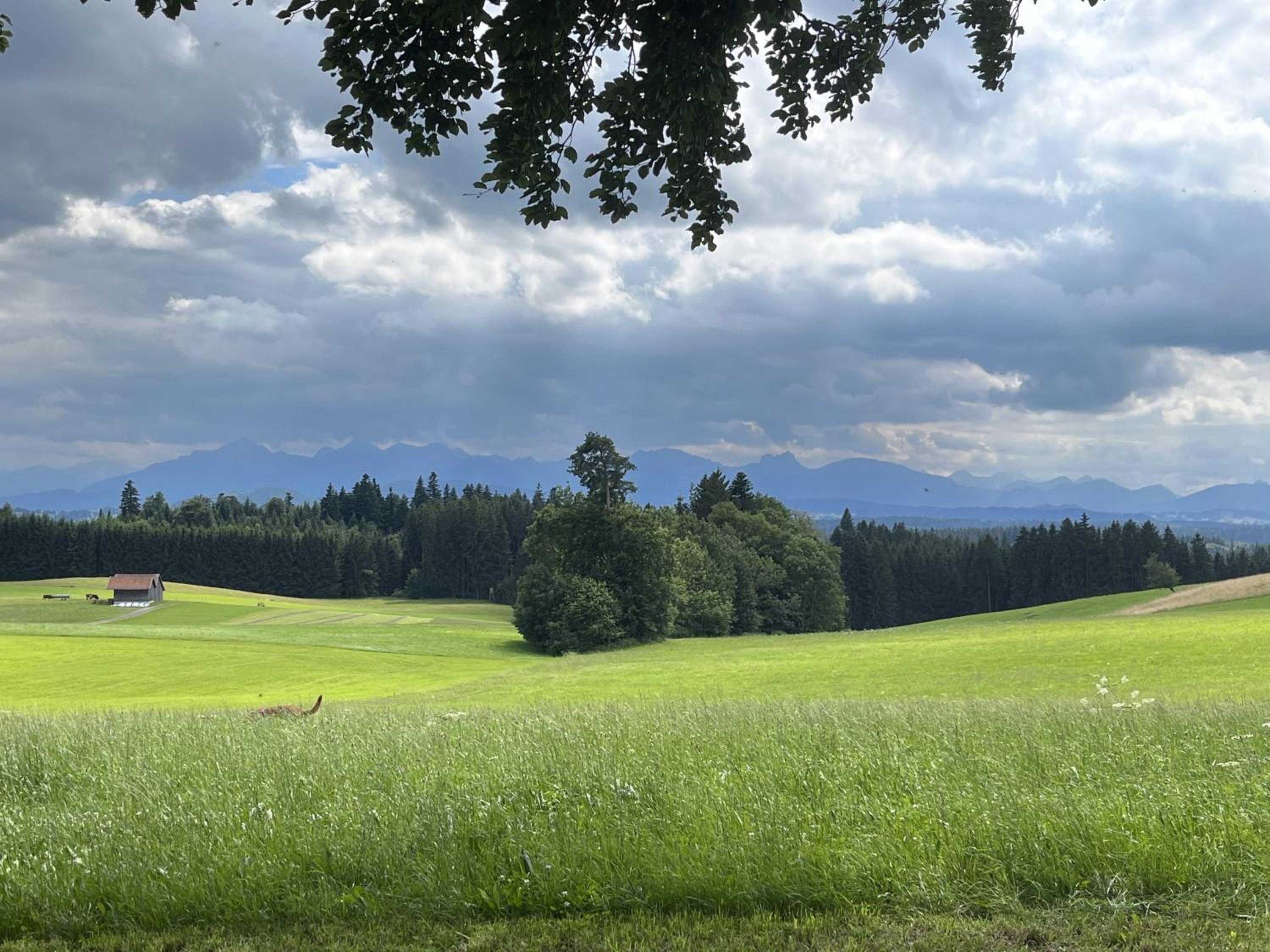 Mächlerhof