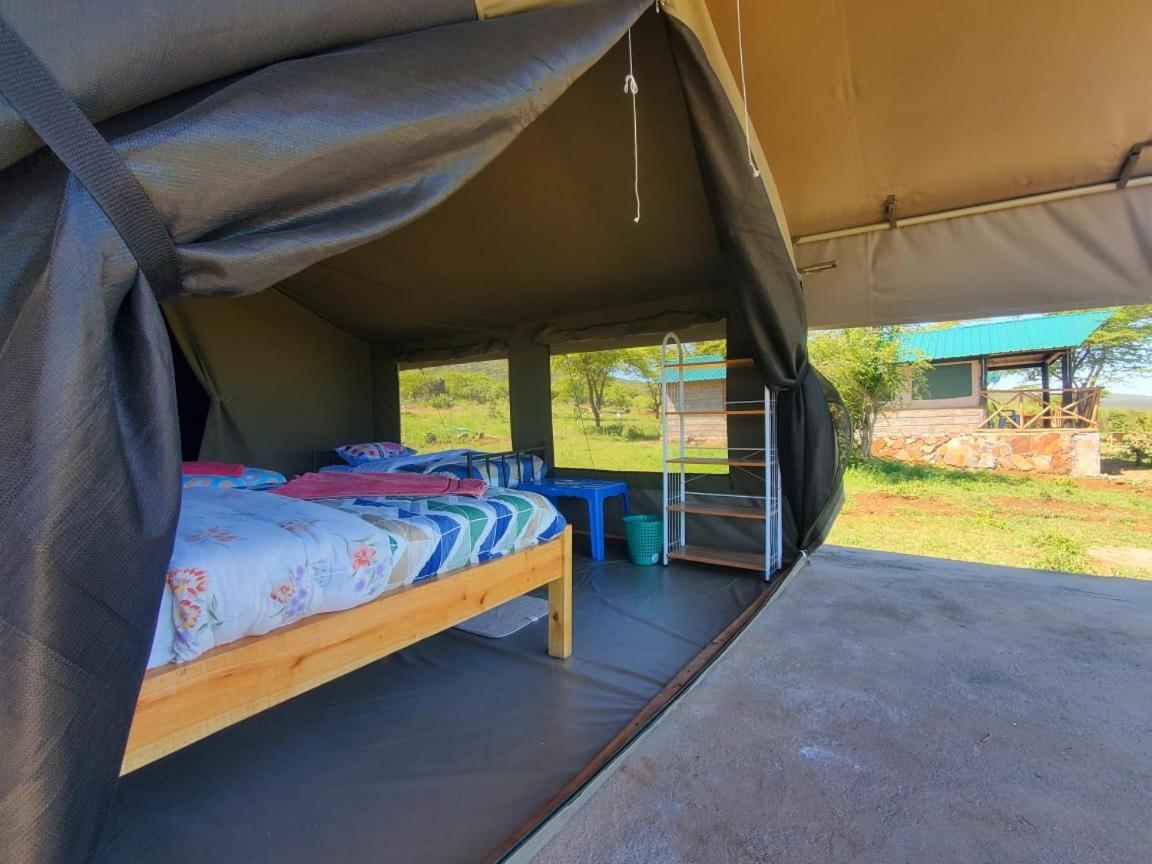 Elephant trails camp