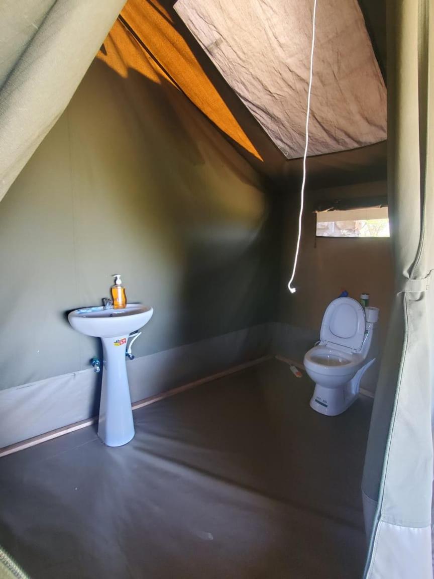 Elephant trails camp