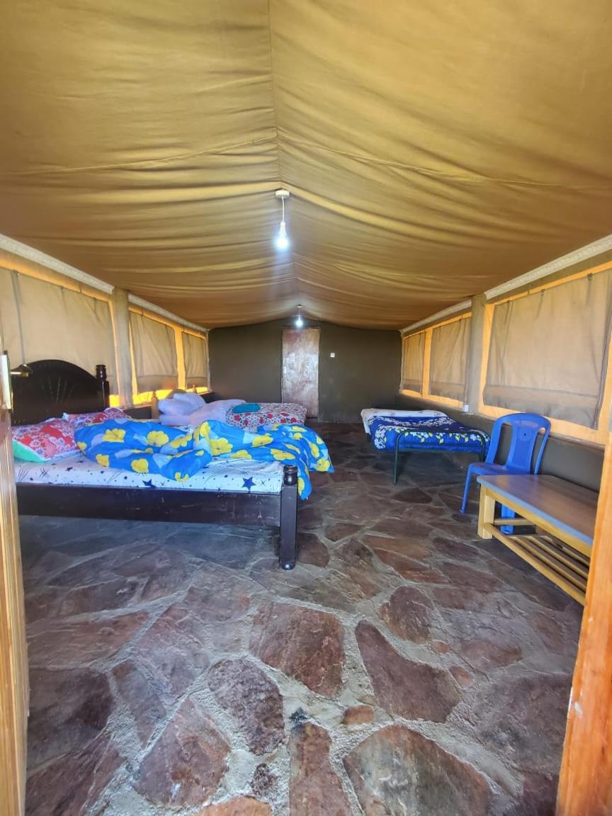 Elephant trails camp